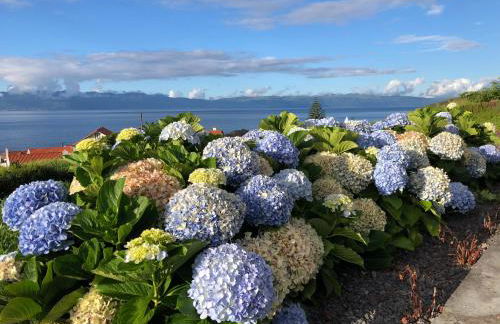 Casa da Arquinha - Photo 65