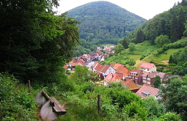 Geraumiges Haus in Zorge - Foto 42