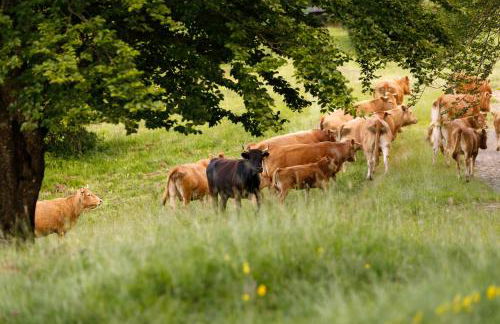 Agriturismo Carovane - Photo 18