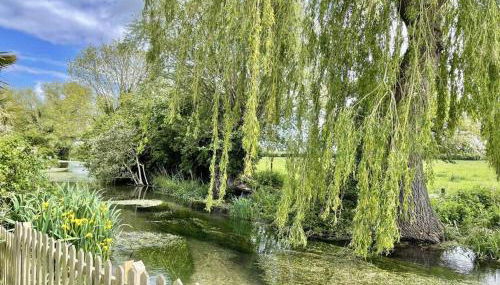 Willow Tree Lodge - Cosy lodge in the heart of the Kent countryside - Foto 1, Garden view