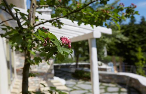 Sunrise Pelion Villas Tsagkarada - Foto 117