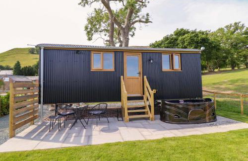 Defaid Cymreig - Foto 24