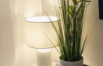 Apartament Witkiewicza Sanok - Foto 13