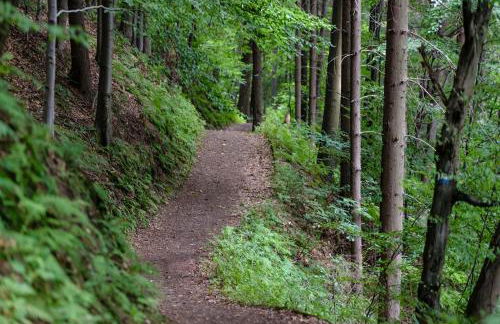 Villa Le Due Lune 6 Pax by VILLASRETREATS - Foto 48