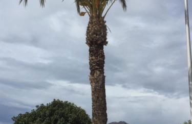 Mundo de sol golf et plage - Foto 2