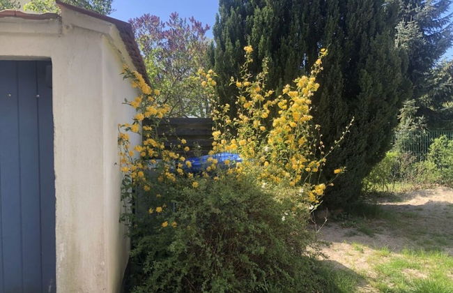 Katis Nest Comfortable Holiday Residence - Photo 31