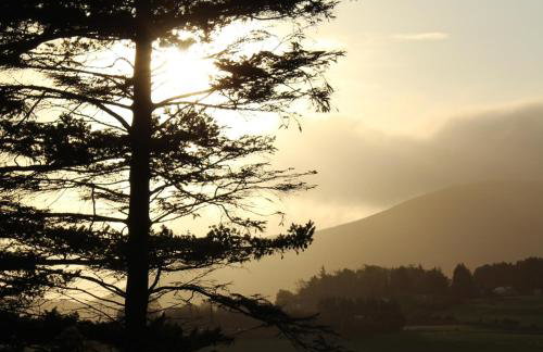 Drumena Cottage - Photo 24