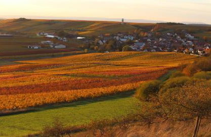 Casa Rustica - Foto 13