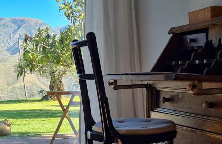 Tropical Studio - Foto 9