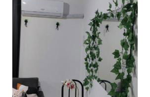 Kitnet Diskbeer - Photo 22