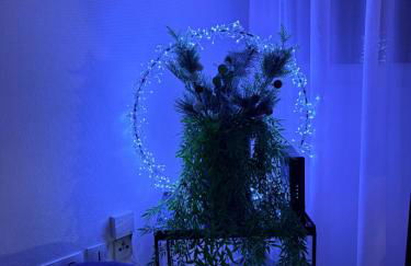 Quiet - Les Maraîchers - Terrace - Private garage - Foto 6