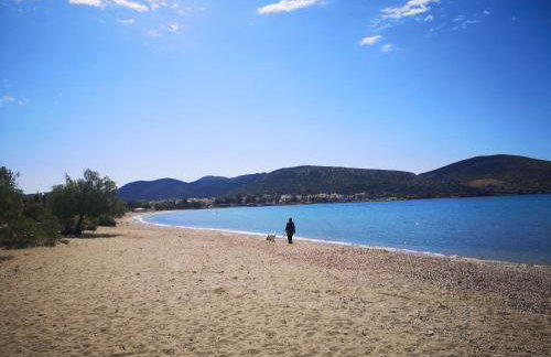 Country House in Anavyssos - Foto 26