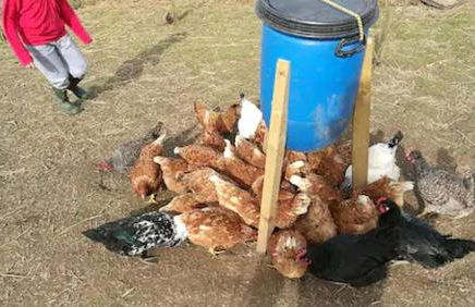 Peaceful Cabin in Skegby -sleeps2- Fire Pit - Foto 28