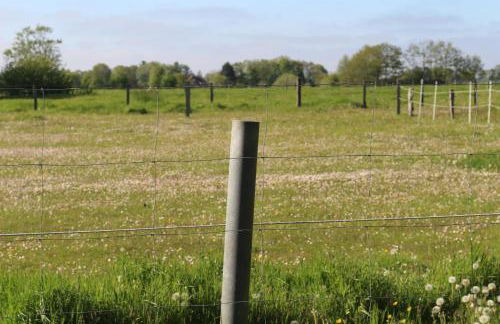 Mensteder Utkiek - Foto 22