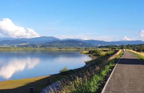 Domki w Beskidach - Foto 44