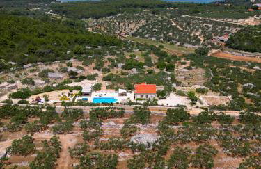 Villa Fani - Photo 3