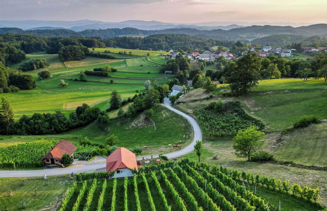 Vineyard Cottage Krivic - Photo 21