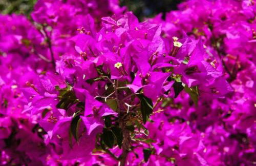 Luxury New !!! Apartment One and Only with terrace & free bikes - Foto 40