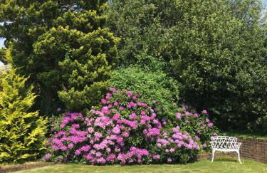 Oak Tree Cottage, Charming, Rural New Forest Home - Foto 8