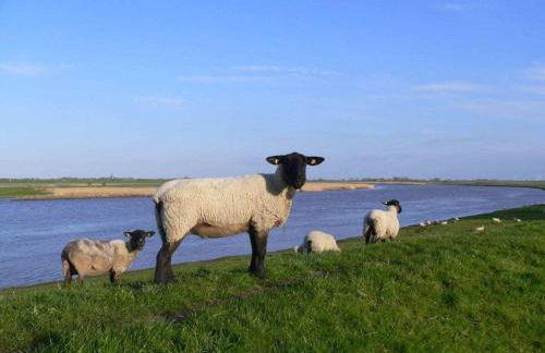 Holiday home with 5 bedrooms - Foto 18