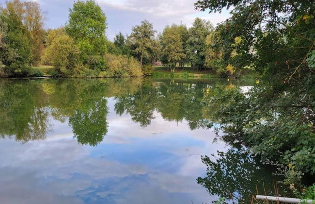 Chalet in Wendorf - Foto 18