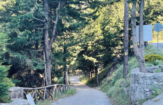 Travellers And Hikers Delight 2, Next To Sougia - Foto 51