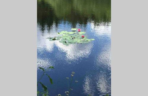 Ferienhaus Ackerbürgerhof in der Welterbestadt Quedlinburg - Foto 27