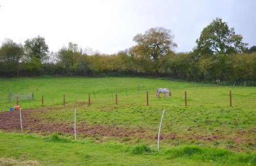 Apple Cottage - Foto 19