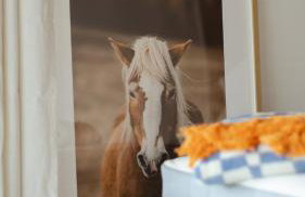 Los Road House - Foto 27