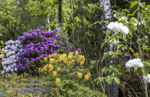 Jaworowy Stok z widokiem na góry i ogrodem - Foto 31