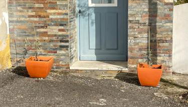 Studio Azul - Foto 3