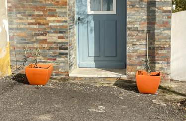 Studio Azul - Foto 3