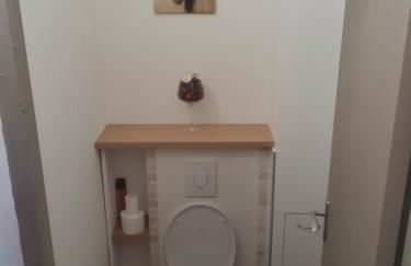 Vitis Vinifera - Foto 20