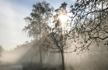 Ferienwohnung Unter Linden - Foto 12