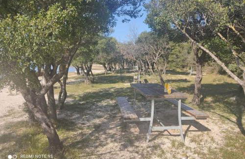 Apartmani Ćuk - Foto 26