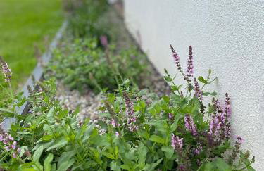 Białe Żagle Mazury - Foto 30