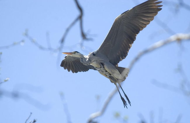 Apartment in a Fantastic Location Just 20 m From Lake Boruja in Rekowo - Foto 22