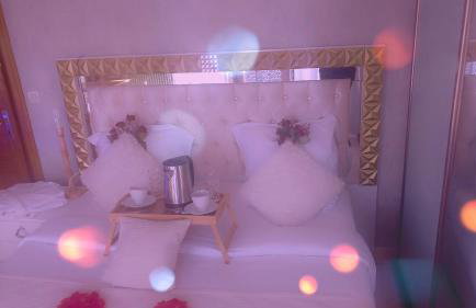 Maison 8 pièces Spa jacuzzi Paris Airport CDG jardin arboré clos - Foto 13