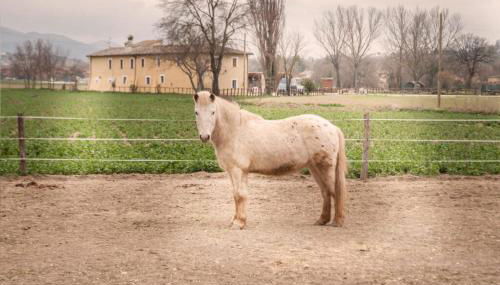 Agriturismo Stovali Da Lustrinu - Foto 3