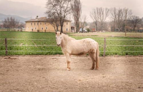 Agriturismo Stovali Da Lustrinu - Photo 3