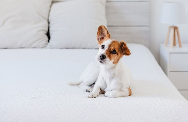 Oakwood Premier Coex Center - Foto 25