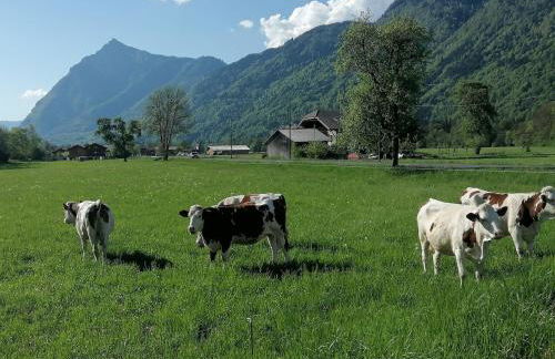 Châlet CARIBOU 74 avec Piscine Chauffée - Foto 26