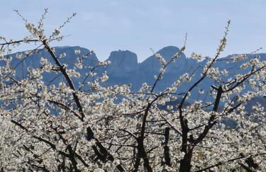 Au contact de la nature - Foto 28