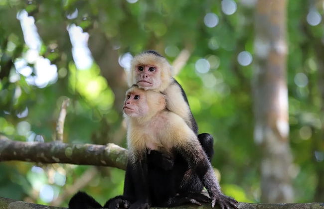 Destino Hotel & Hot Spring - Foto 47