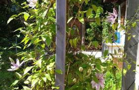 Le Chalet du BioT - Foto 7