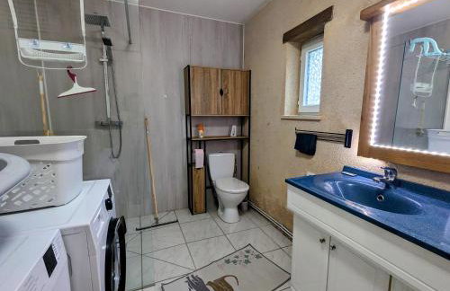 Gîte en Berry: terrasse couverte, ping-pong, près Zoo de Beauval et Château de Valençay - FR-1-591-618 - Foto 7