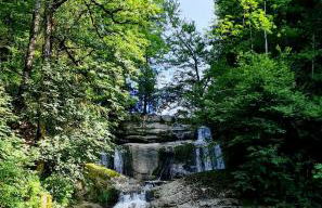 Landhaus Eibelesee - Foto 35