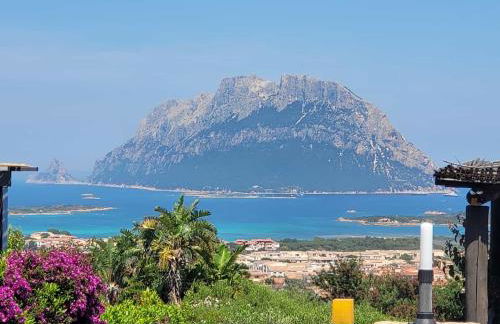 Claude&Kate's dream house - Photo 1