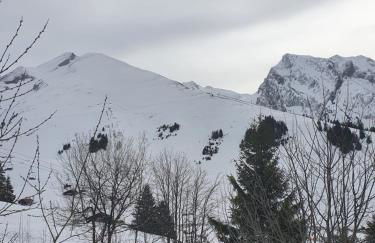 Appartement Combes Blanche 2 - Foto 8