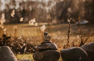 Bujanie w sitowiu - Foto 76